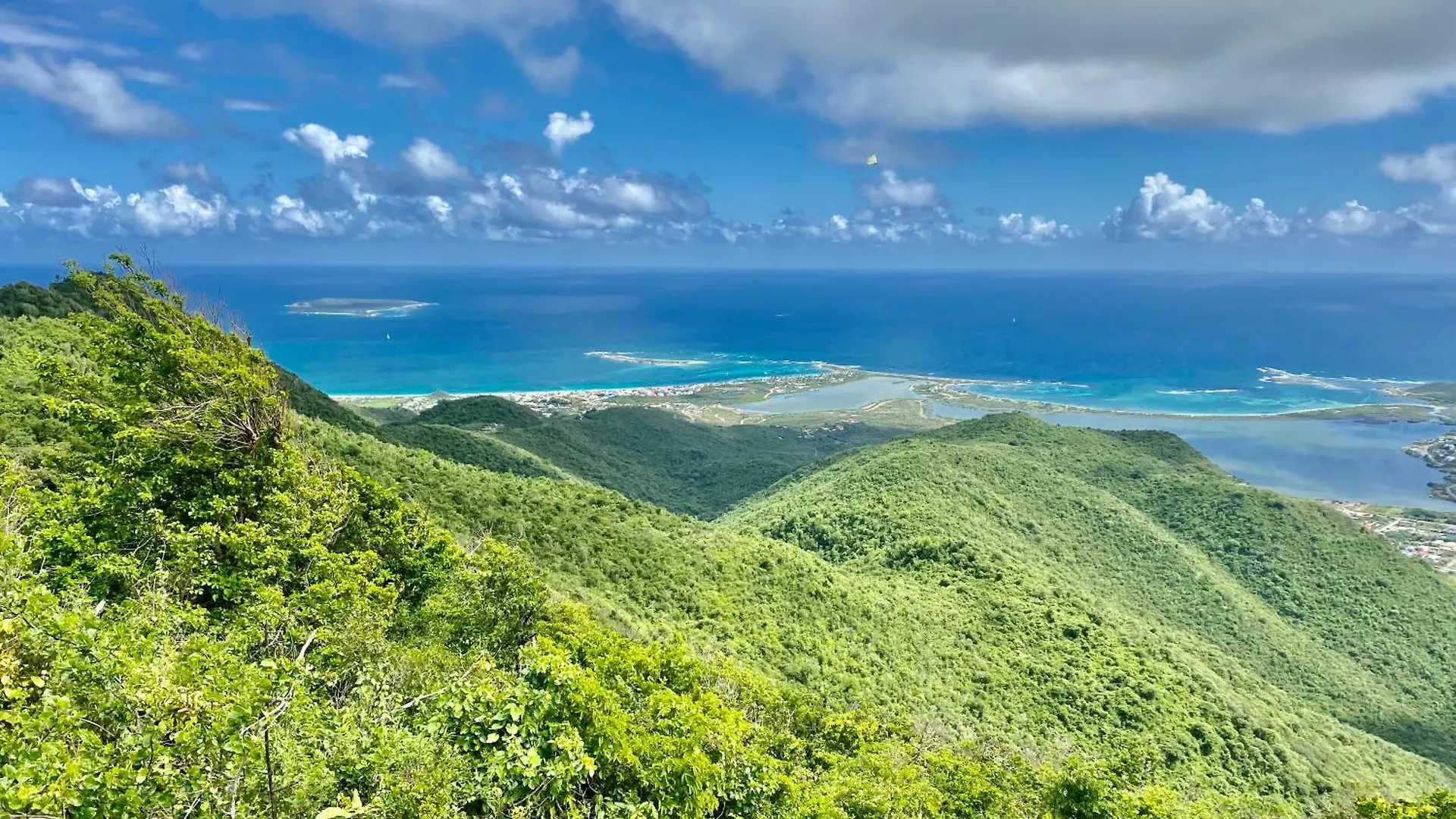 Duplex Jungle Bleue Terrasse Vue Mer Incroyable Marigot  Saint-Martin