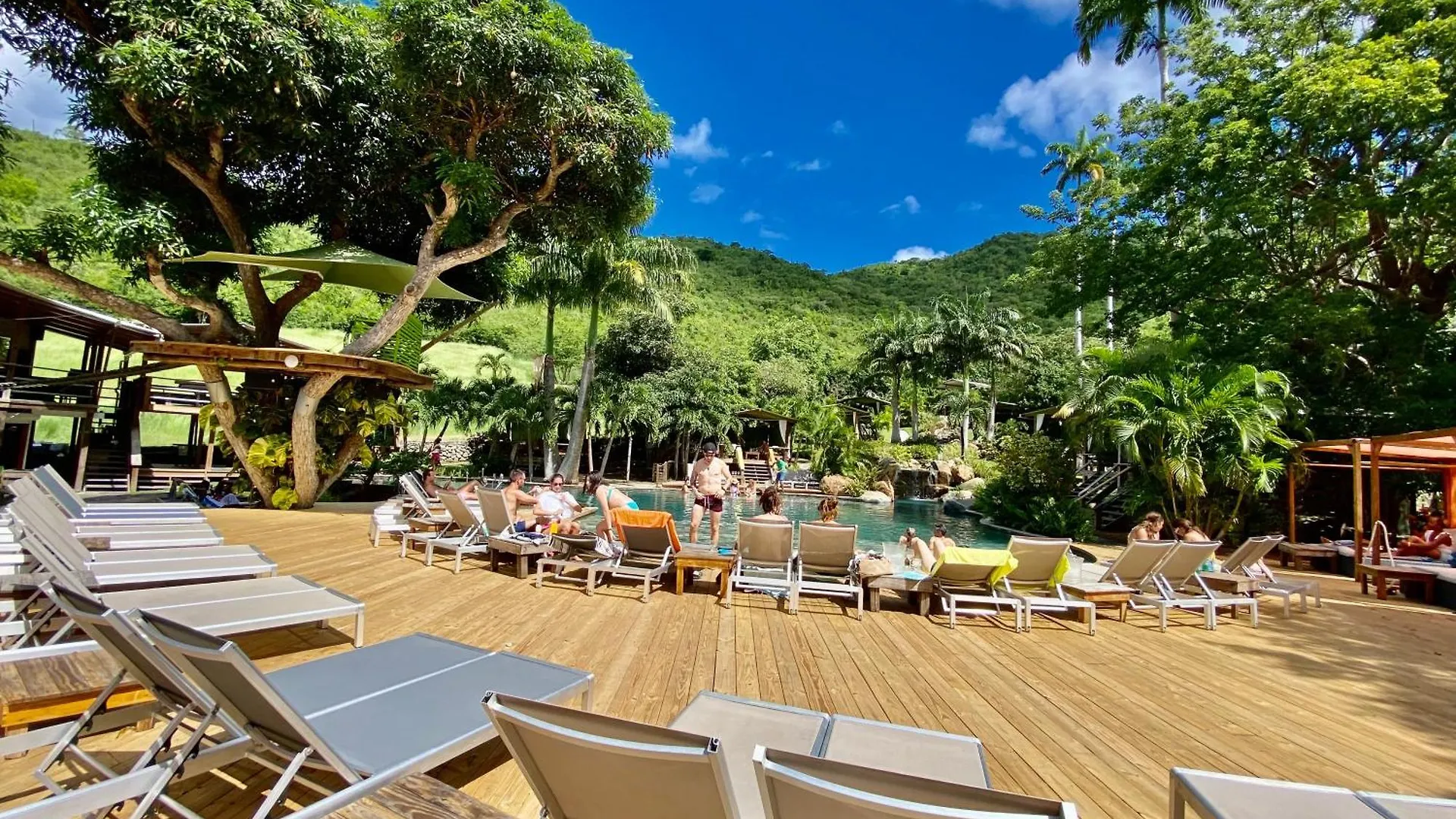 Duplex Jungle Bleue Terrasse Vue Mer Incroyable Marigot  Saint-Martin