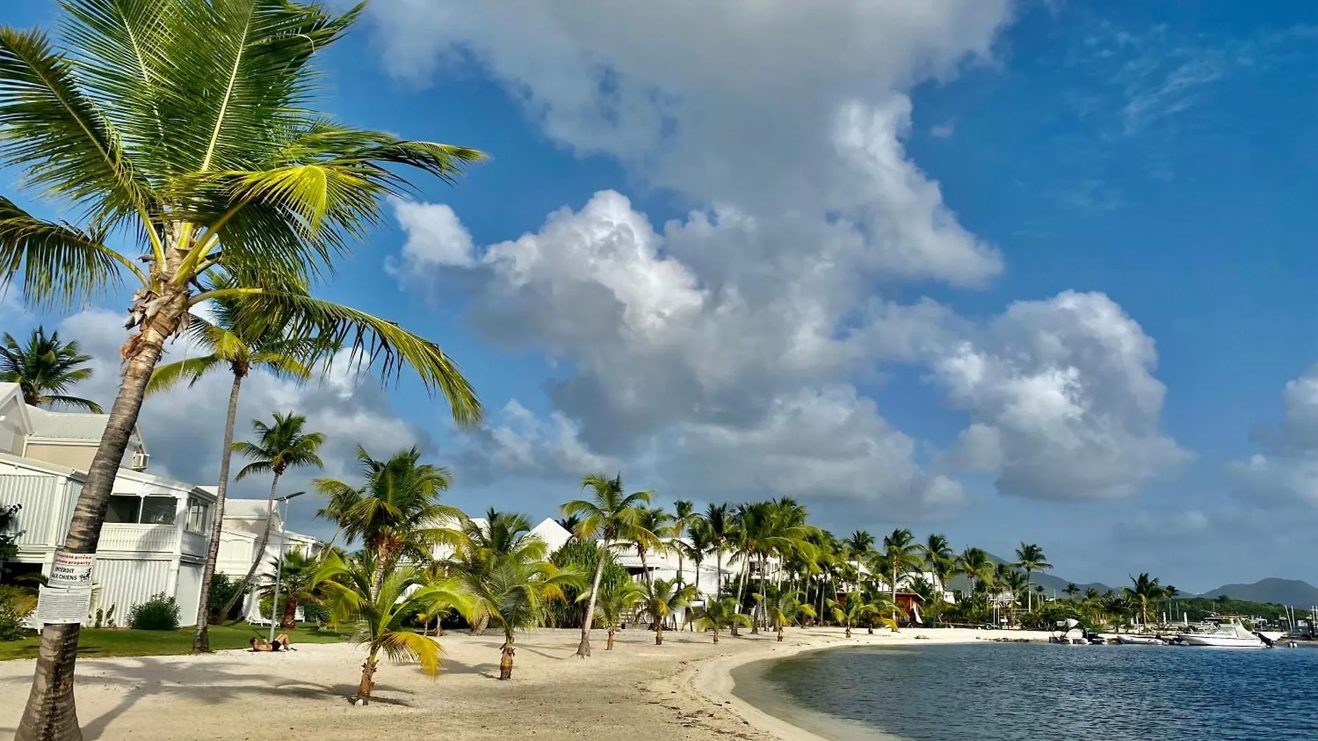 Duplex Jungle Bleue Terrasse Vue Mer Incroyable Marigot  Appartement Marigot (Saint Martin)