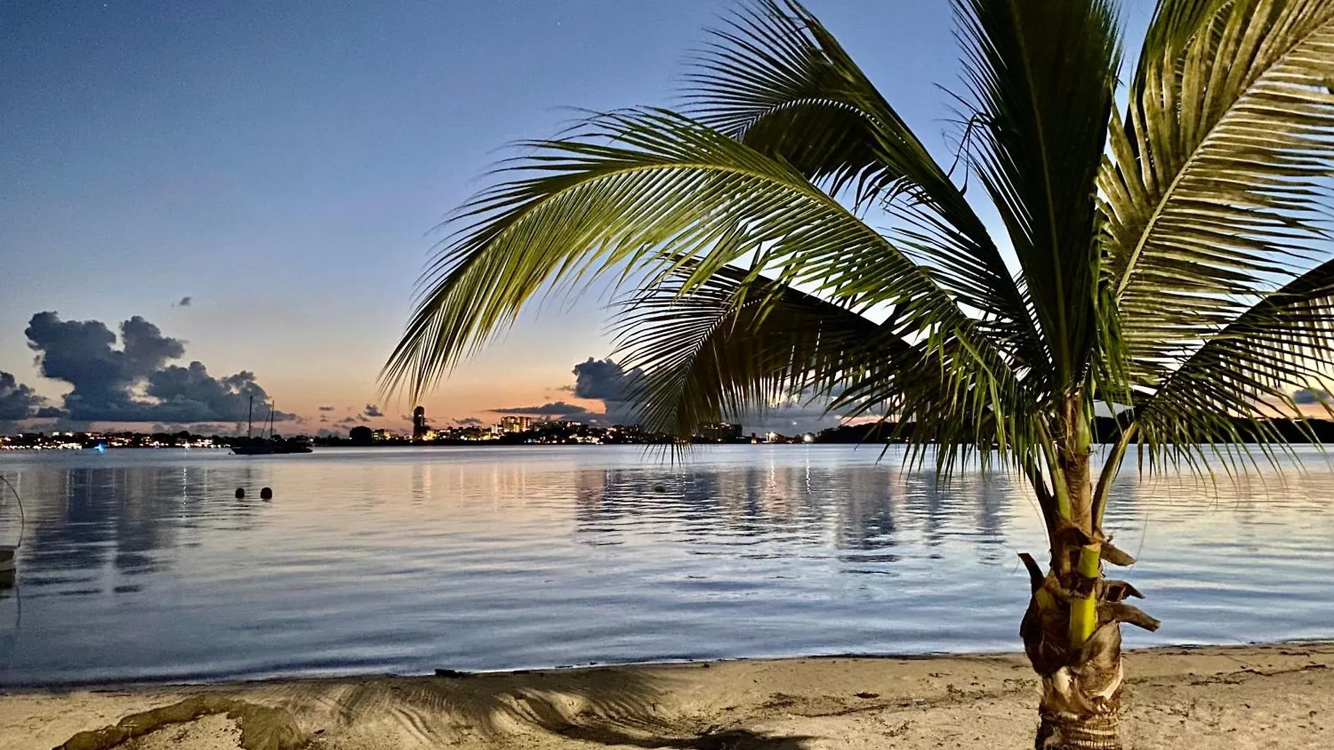 Appartement Duplex Jungle Bleue Terrasse Vue Mer Incroyable Marigot