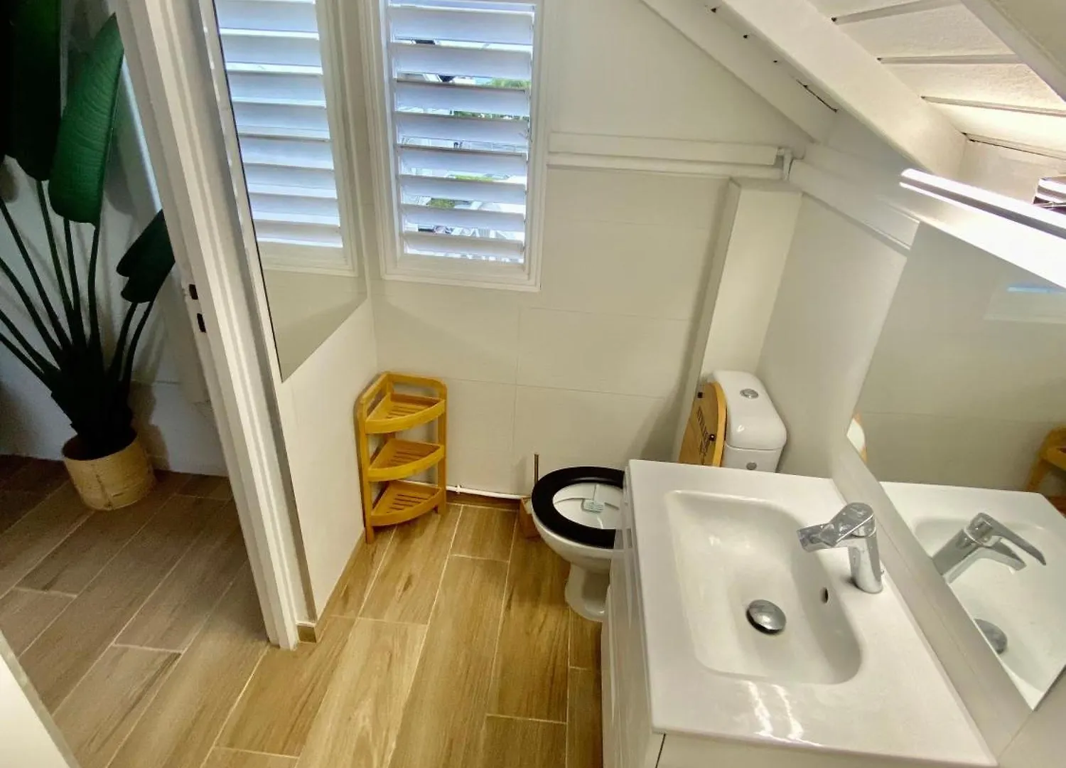 Appartement Duplex Jungle Bleue Terrasse Vue Mer Incroyable Marigot  Saint-Martin